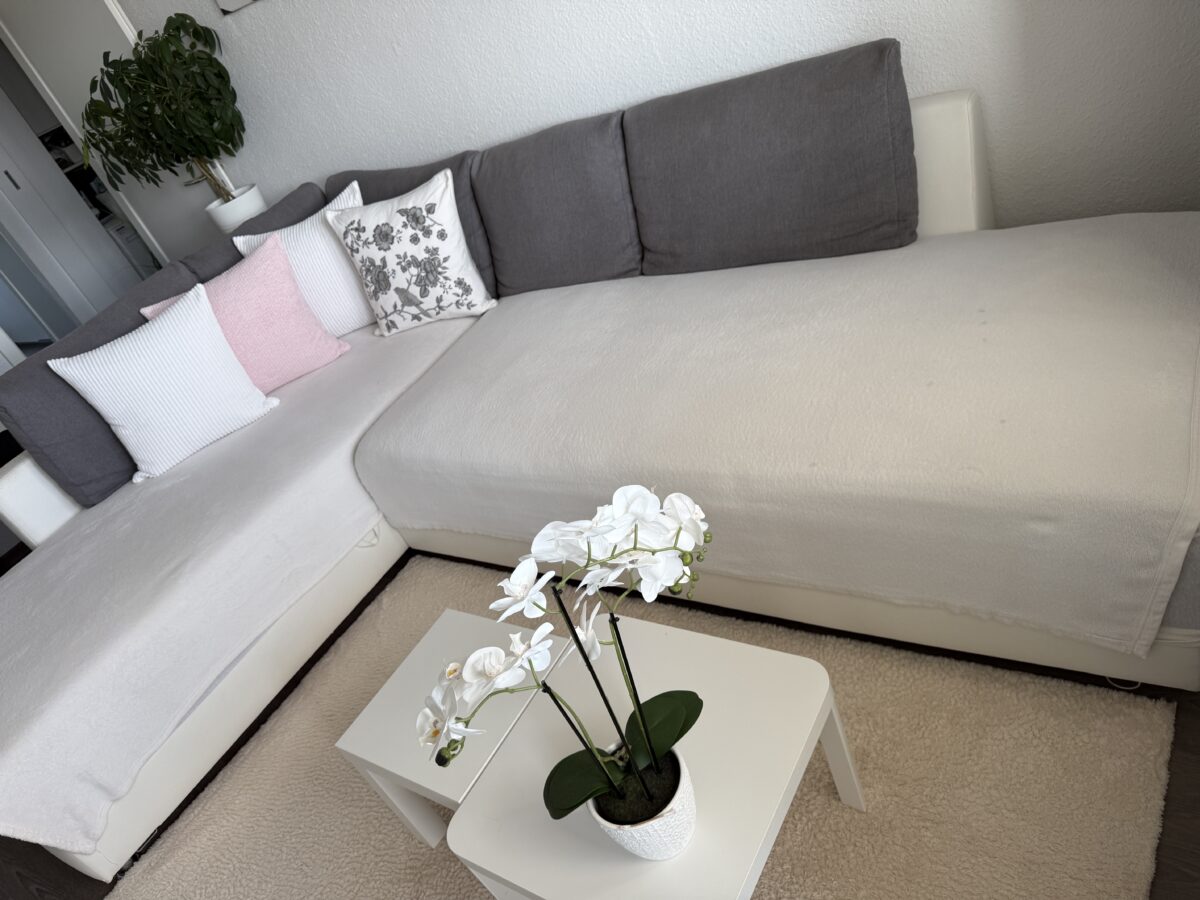 Bett-Sofa, Couch, Sofa, Dauerschläfer-Sofa